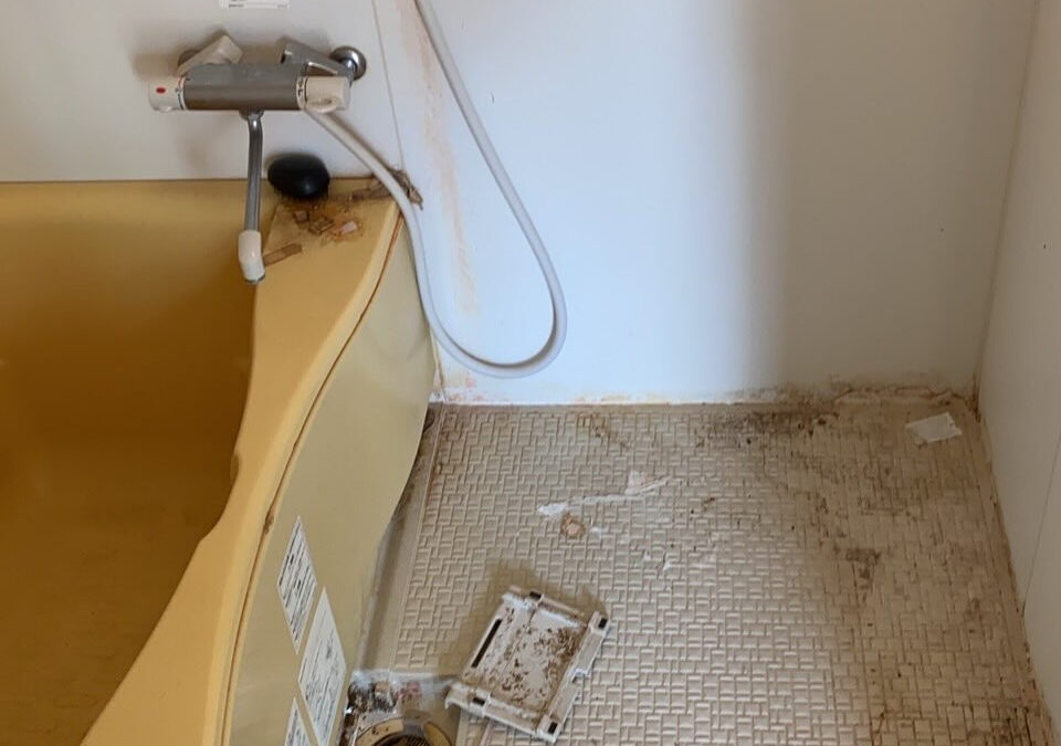 この時期は洗い屋さんには地獄のような季節です